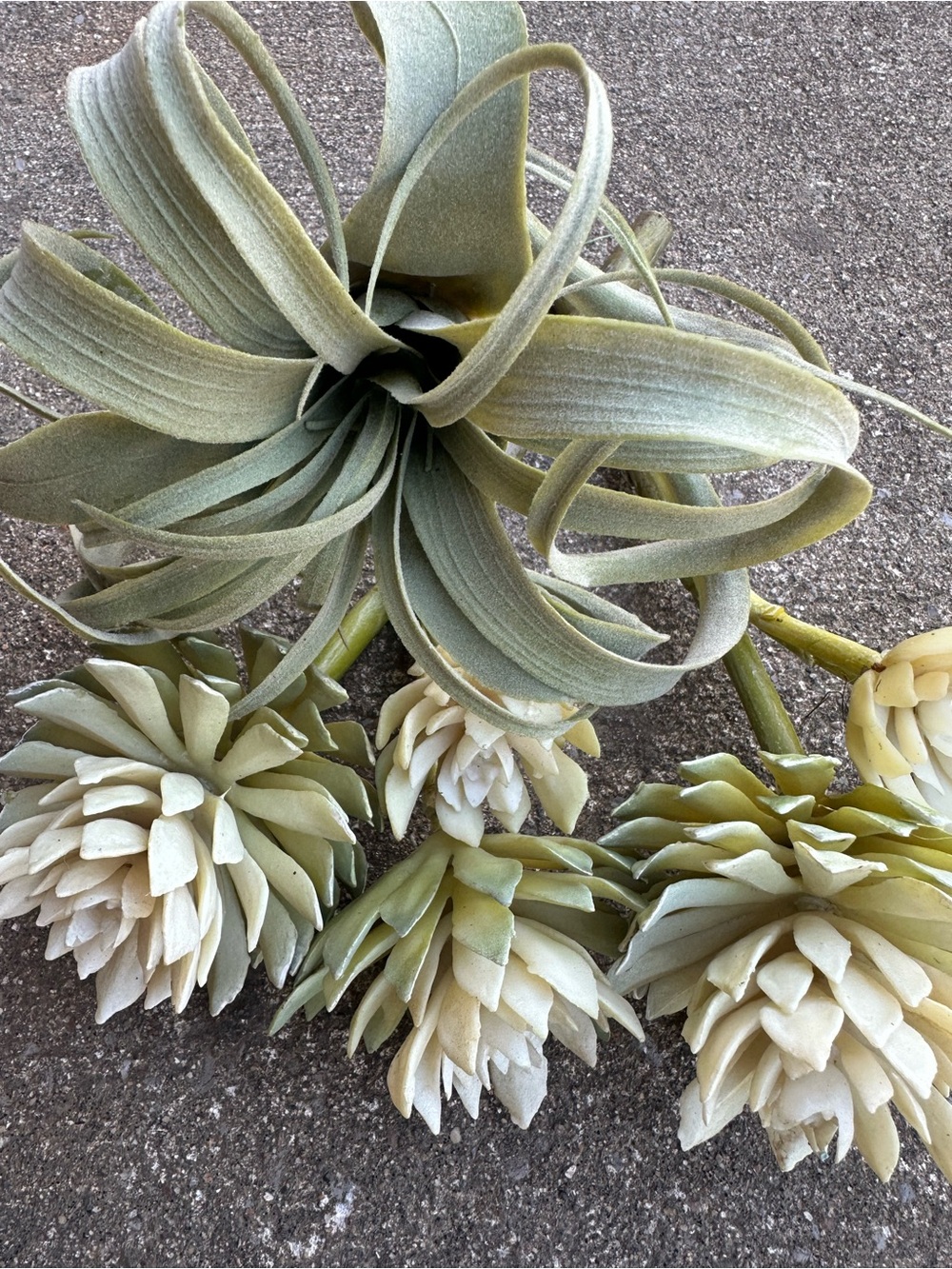 Artificial Succulent and Tillandsia Accent Stem - Green and Cream | Set of 3